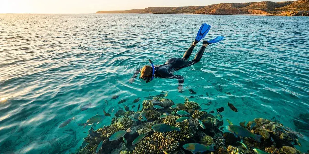 Snorkeller floating over vibrant coral reef in the turquoise waters of Western Australia